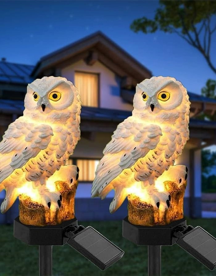 <h2><br/><br/>Light Up Your Garden with Magic — 25% Off Today Only!<br/><br/></h2>
